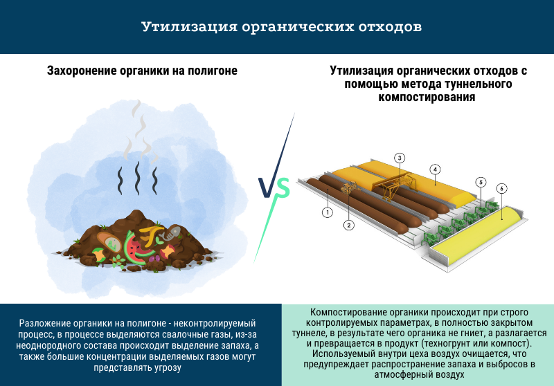 IMG_4294.PNG