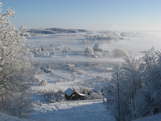 photo1700560302 (9).jpeg