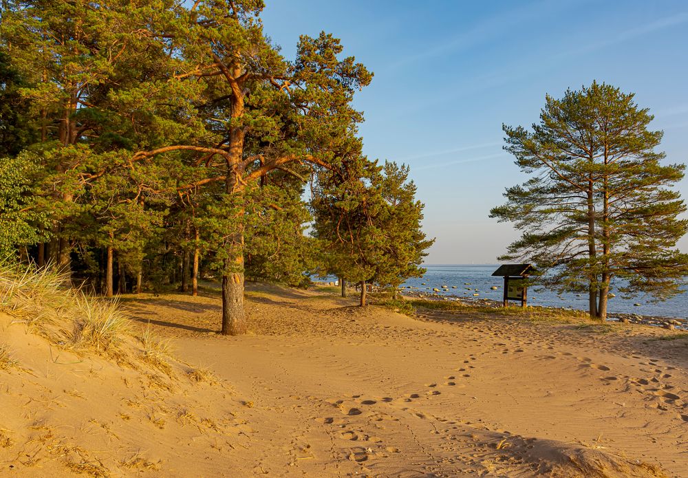 photo1700560302 (1).jpeg